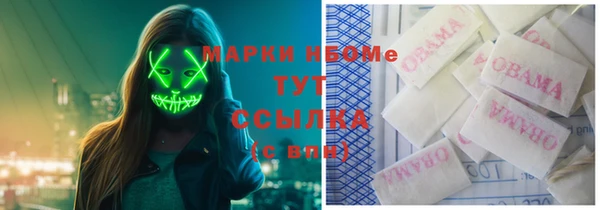 дмт Сосновоборск