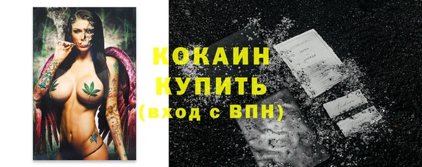 дмт Сосновоборск
