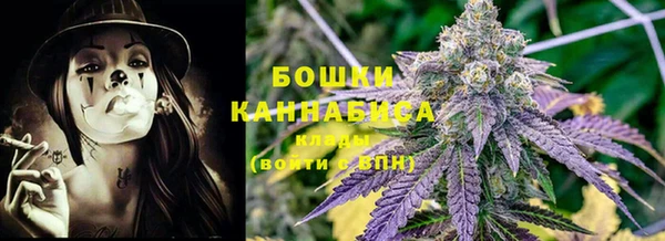дмт Сосновоборск