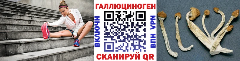 Купить где  Печоры  Галлюциногенные грибы Psilocybe 